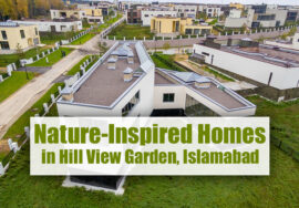 nature inspired homes